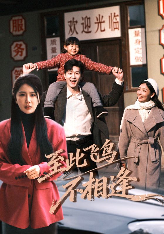到此飞鸟不相逢（70集）王鹏&丁海霞-免费短剧