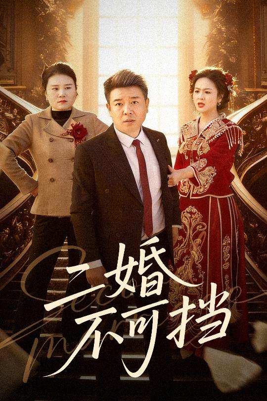 二婚不可挡(36集)任志宏&杨一-免费短剧