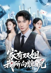 家有双姐，我所向睥睨（60集）暖小新&孙琳-免费短剧