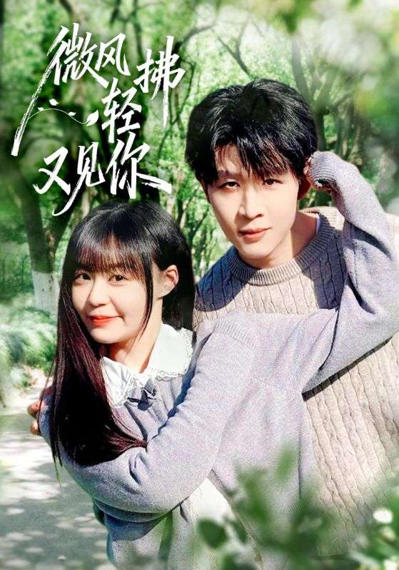 微风轻拂又见你（66集）王雨博&孙蔚琳-免费短剧