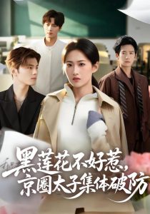 黑莲花不好惹，京圈太子集体破防（53集）申晴＆彭瑞风-免费短剧