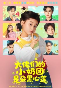 大佬们的小奶团是朵黑心莲（67集）-免费短剧