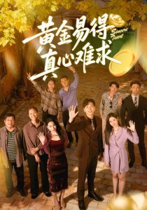 黄金易得真心难求（60集）邹洁仪＆姜昊旻-免费短剧
