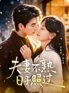 夫妻不熟，日子照过（80集）左铭＆刘蓝鸽-免费短剧