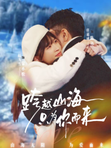 跨越山海只为你而来（30集）任道成＆赵飞雪-免费短剧