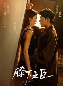 膝下之臣（56集）赵安第&吴宇航-免费短剧