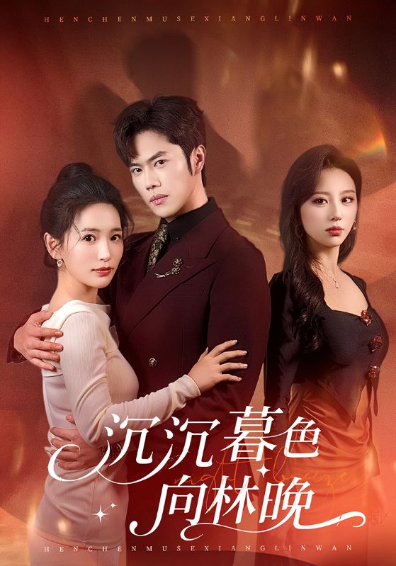 沉沉暮色向林晚(60集)聂子轩&李雪莹-免费短剧