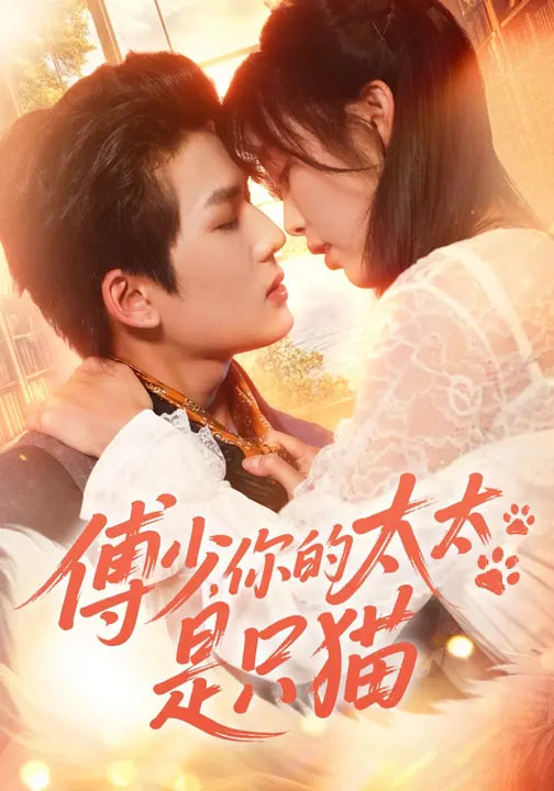 傅少，你的太太是只猫（64集）赵偲佟&向明-免费短剧
