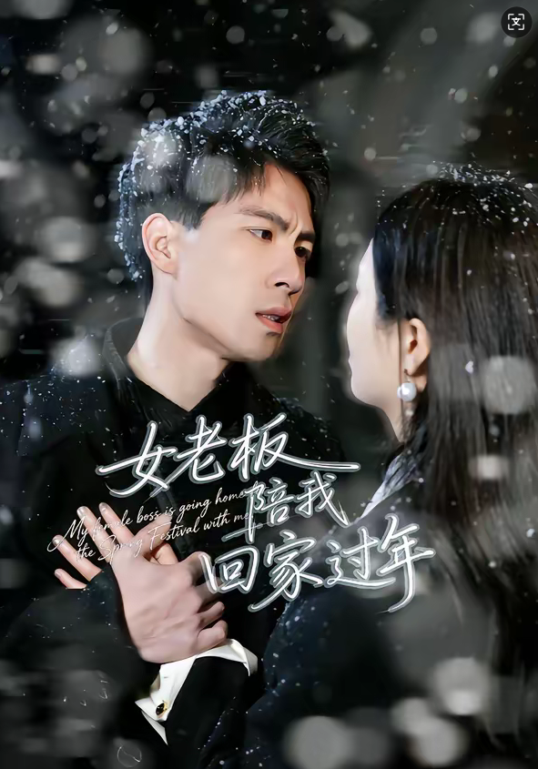 女老板陪我回家过年（40集）罗珊珊＆贺翔-免费短剧