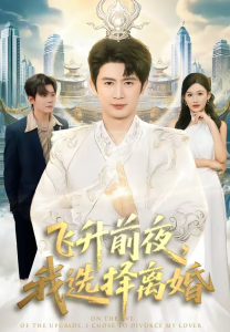 飞升前夜，我选择离婚（80集）王昭＆张颖洁-免费短剧