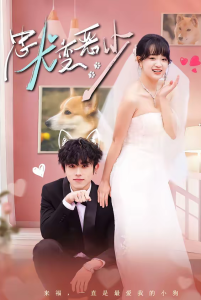 惊！我家来福变恶少了＆忠犬变恶少（80集）曹竣柯＆赵影-免费短剧