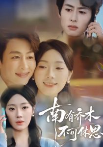 南有乔木，不可休思（68集）邢航铭&孔祥东-免费短剧