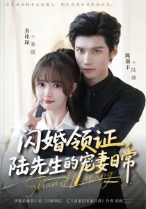 闪婚领证，陆先生的宠妻日常（86集）陈瑞丰＆查祎琛-免费短剧