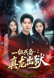 一级戒备：真龙出狱（73集）王鹏&千文-免费短剧