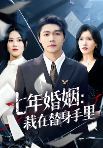 七年婚姻:栽在替身手里(80集)叶子龙&张清妍-免费短剧