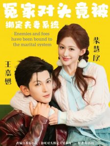 冤家对头竟被绑定夫妻系统（80集）柴慧欣&王嘉懋-免费短剧
