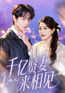 钻石贤妻来相见&千亿贤妻来相见（72集）康凌骁&张彦琳-免费短剧