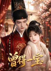 曾得一宝（19集）-免费短剧