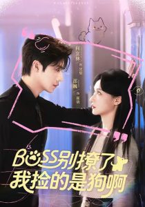 Boss别撩了，我捡的是狗呀（65集）邵魏＆何宣林-免费短剧