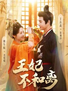 王妃不和离（80集）王彦鑫＆傅冬暖-免费短剧
