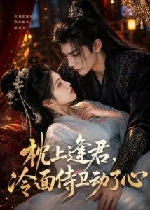 枕上逢君，冷面侍卫动了心（92集）-免费短剧
