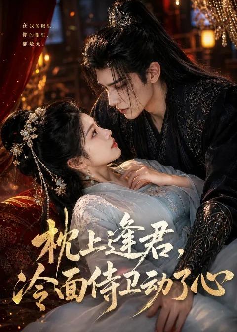 枕上逢君，冷面侍卫动了心（92集）-免费短剧