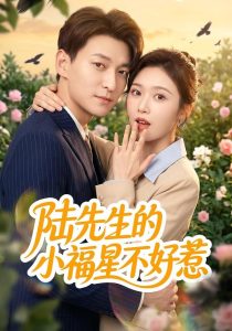 陆先生的小福星不好惹（56集）肖涵＆何为-免费短剧
