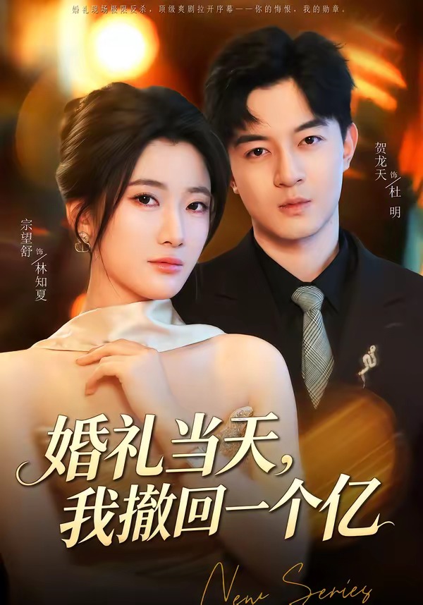 婚礼当天,我撤回一个亿(51集)宗妍初&贺龙天-免费短剧