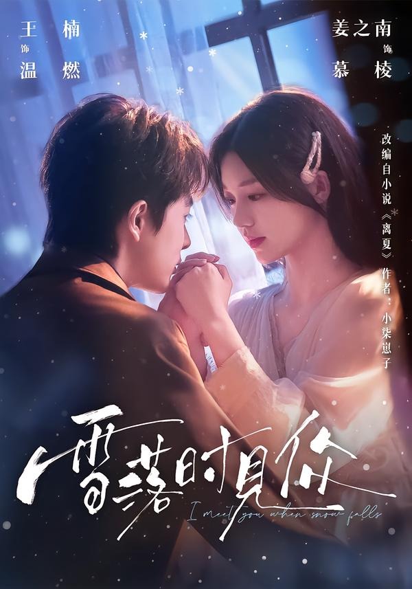 雪落时见你(93集)王楠&姜之南-免费短剧