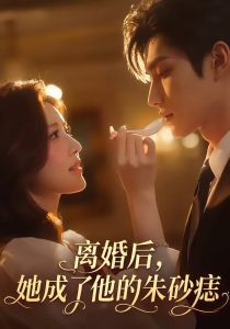 离婚后，她成了他的朱砂痣（17集）-免费短剧