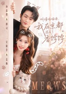 听懂喵喵语，我在京都混成了香饽饽（50集）孙嘉俊＆吴毅非（1080P）-免费短剧