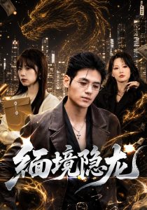 缅境隐龙（65集）姜凌云＆徐海文（1080P）-免费短剧
