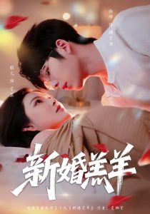 新婚羔羊（89集）向帅＆程儿-免费短剧