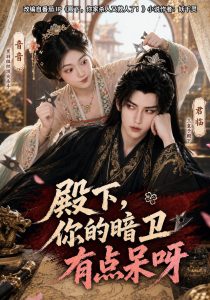 殿下，你的暗卫有点呆呀（110集）-免费短剧