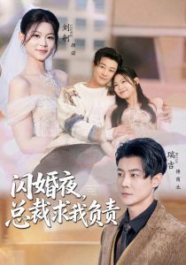 闪婚夜，总裁求我负责（80集）刘舸＆瑞吉（1080P）-免费短剧