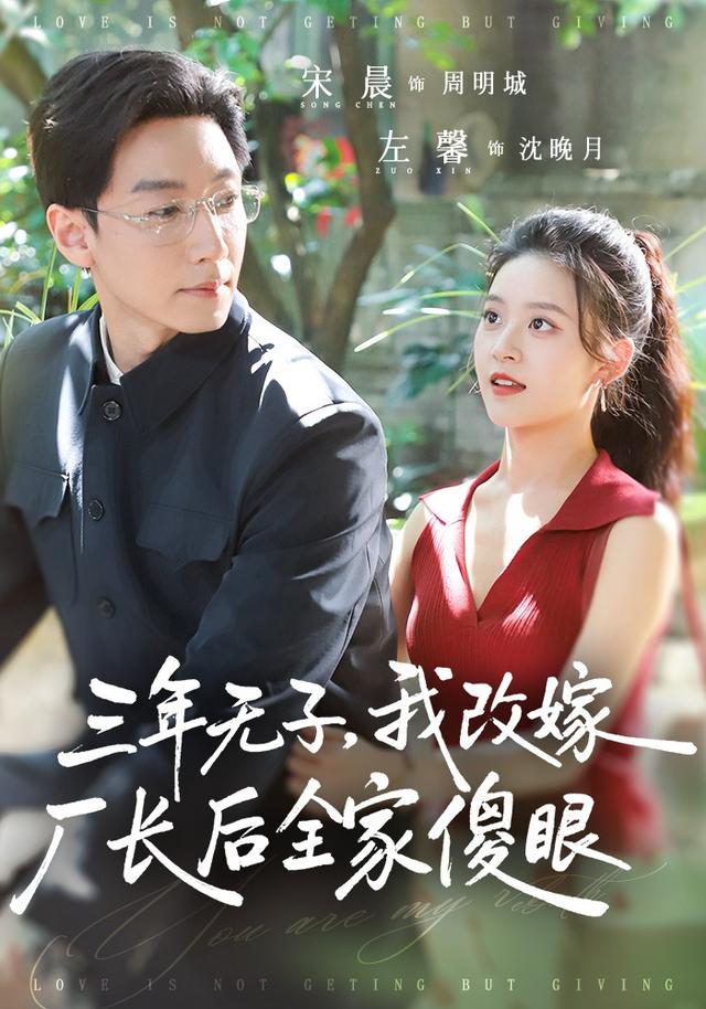 三年无子,我改嫁厂长后全家傻眼了(77集)宋晨&左馨(1080P)-免费短剧