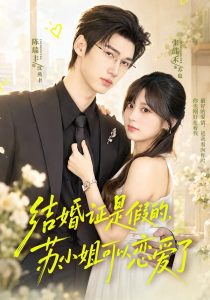 结婚证是假的，苏小姐可以恋爱了（77集）陈瑞丰＆张邵禾（1080P）-免费短剧