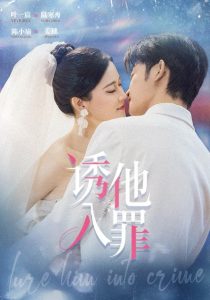 诱他入罪（38集）陈小瑜&叶一宸-免费短剧