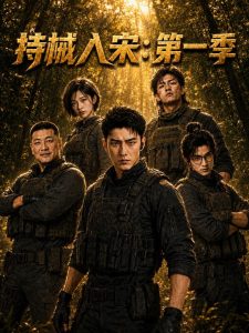 持械入宋：第一季（100集）-免费短剧