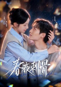 春夜刺骨（42集）乔槿&迟钰坤-免费短剧