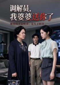 调解员，我婆婆送你了（30集）直贝贝&宋星翰-免费短剧